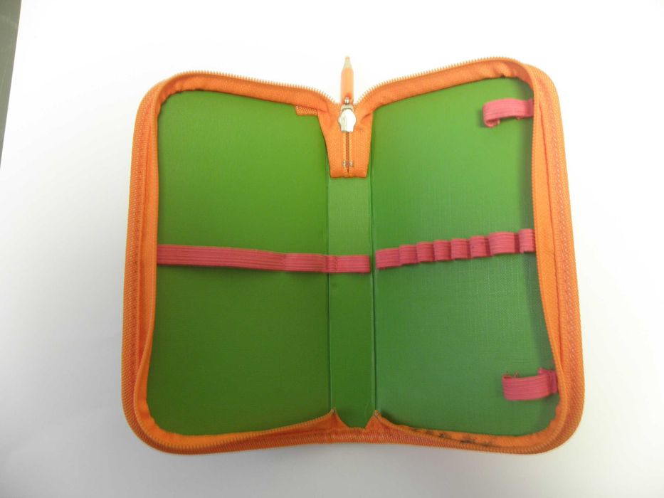 piórnik pomarańczowy z biedronkami