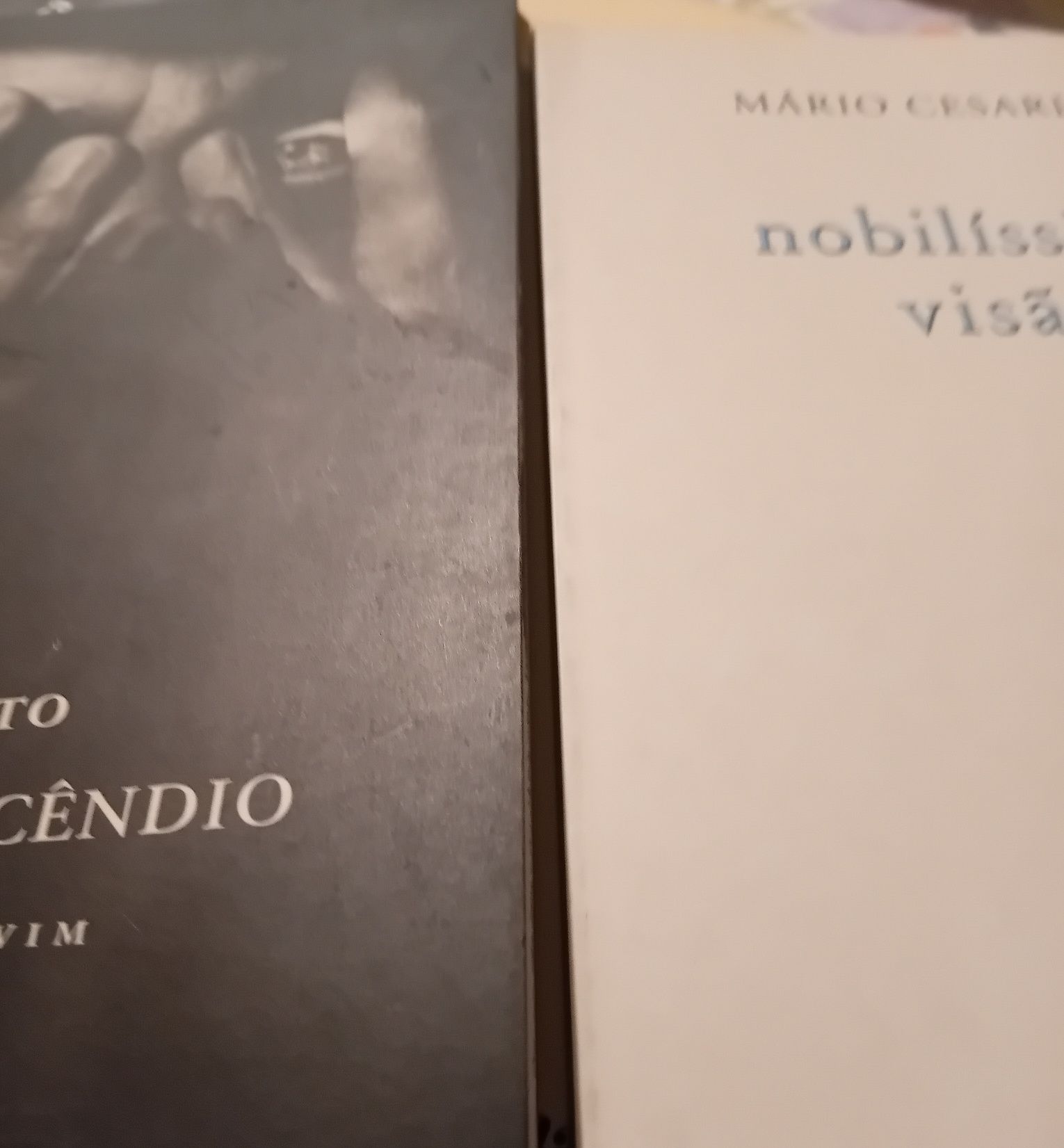 Dois Livros  Mario Cesariny e outro   / lote 10 euros