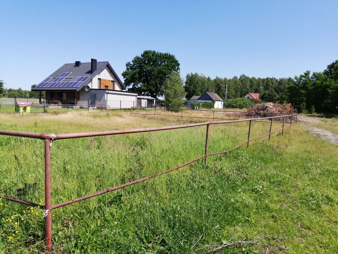 Lonżownik, wybieg dla konia