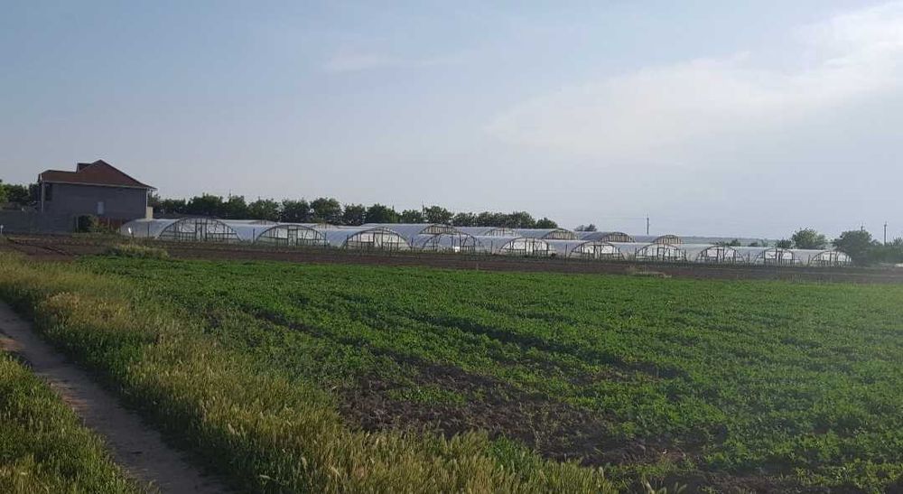 Срочно.Продам дом Одесская обл.240м.кв+агробизнес