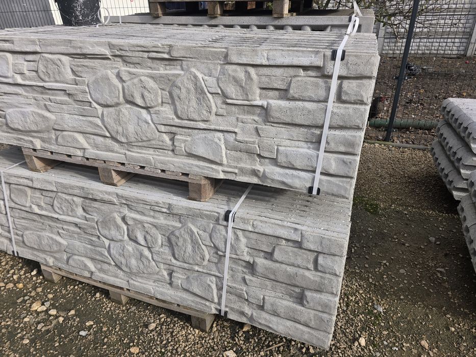 Płyta ogrodzeniowa 50/200