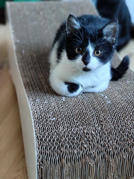 Czy Maja czeka na Ciebie?