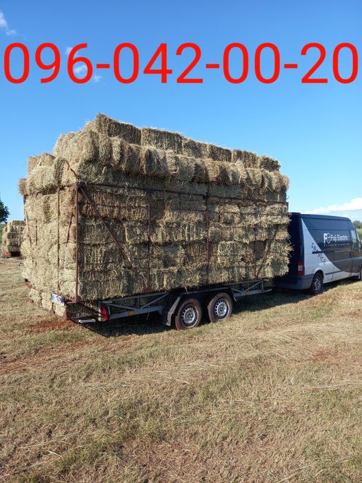 сіно    ЗЛАКОВЕ,  лугове,  польове