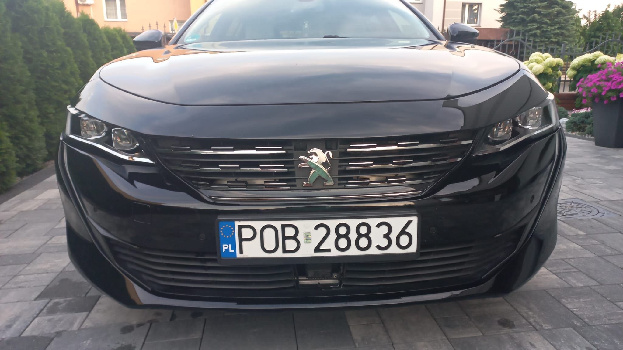 Peugeot 508 Peugeot 508 2019