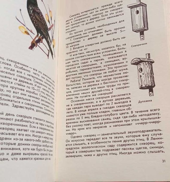 Соколов Любите и охраняйте птиц (1968)