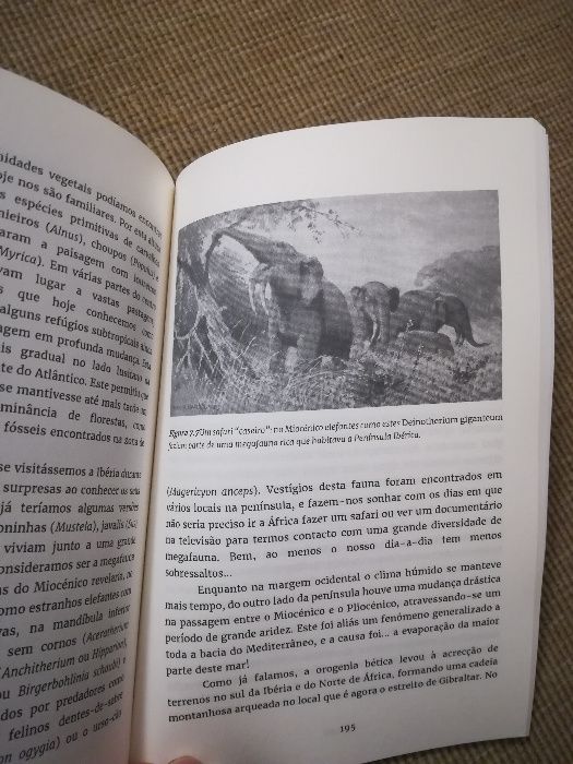 Antes da Terra e do Mar - Livro de história natural