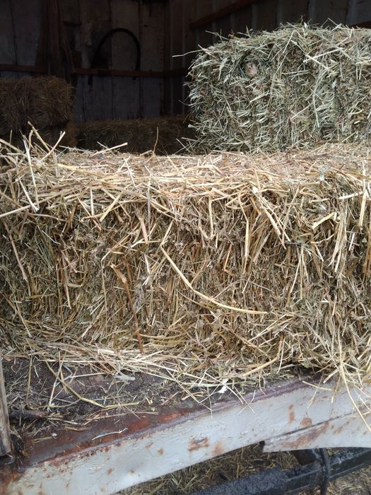 Продам люрцерну в тюках