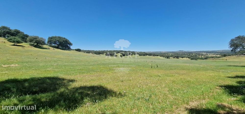 Herdade na Terrugem com 118 hectares