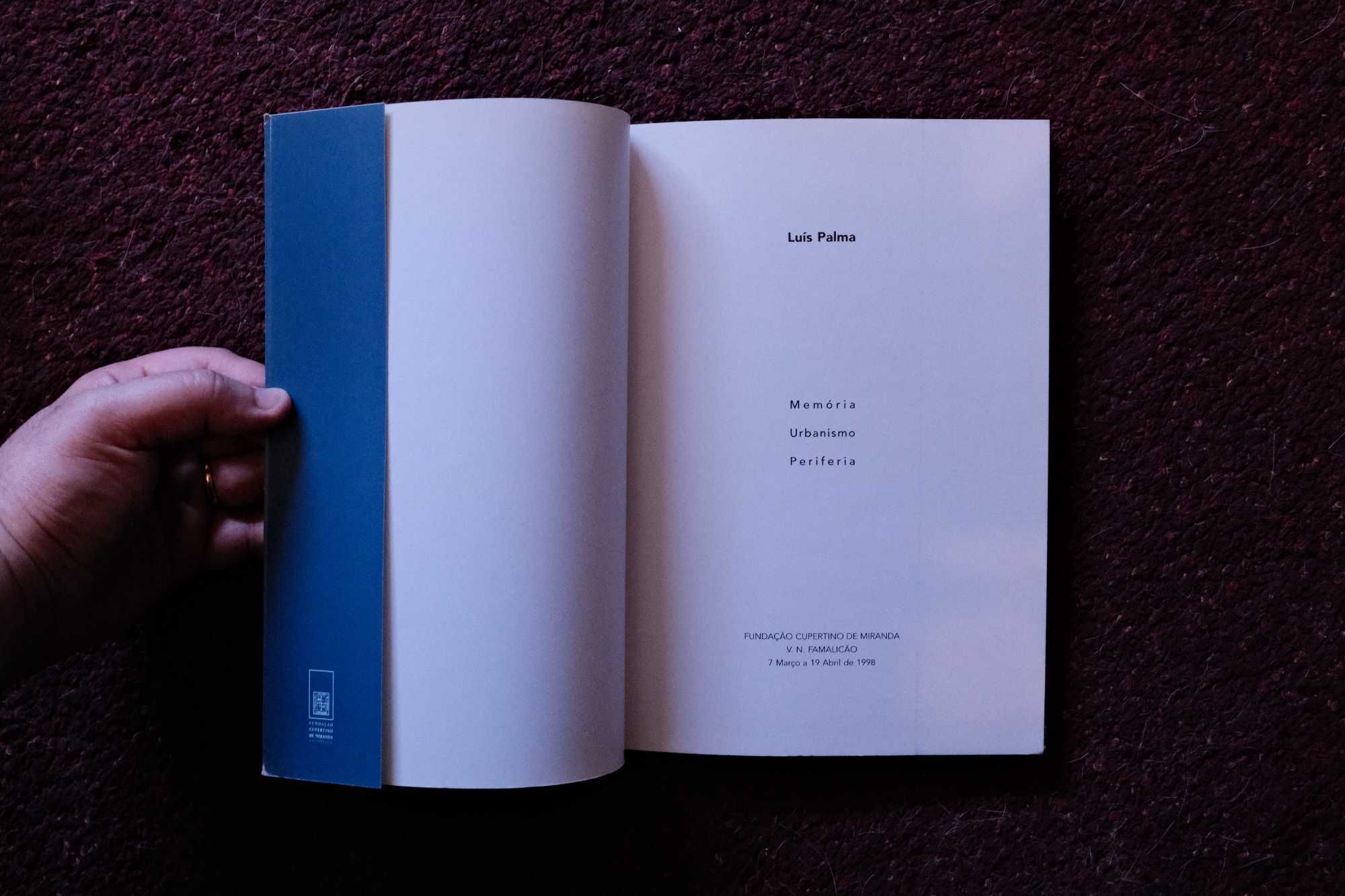 'Memória, Urbanismo, Periferia', Luís Palma (1998)