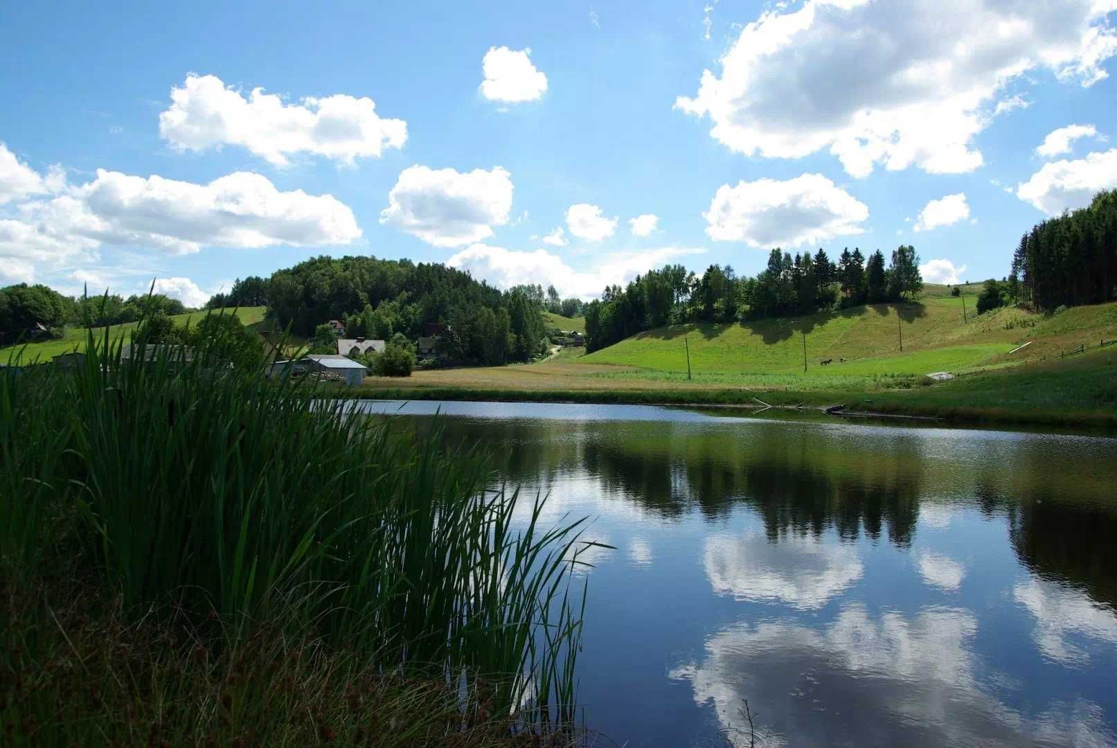 Pokój - noclegi Kaszuby Wieżyca, basen, jezioro