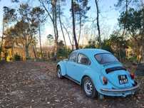 Dois VW Carocha para venda