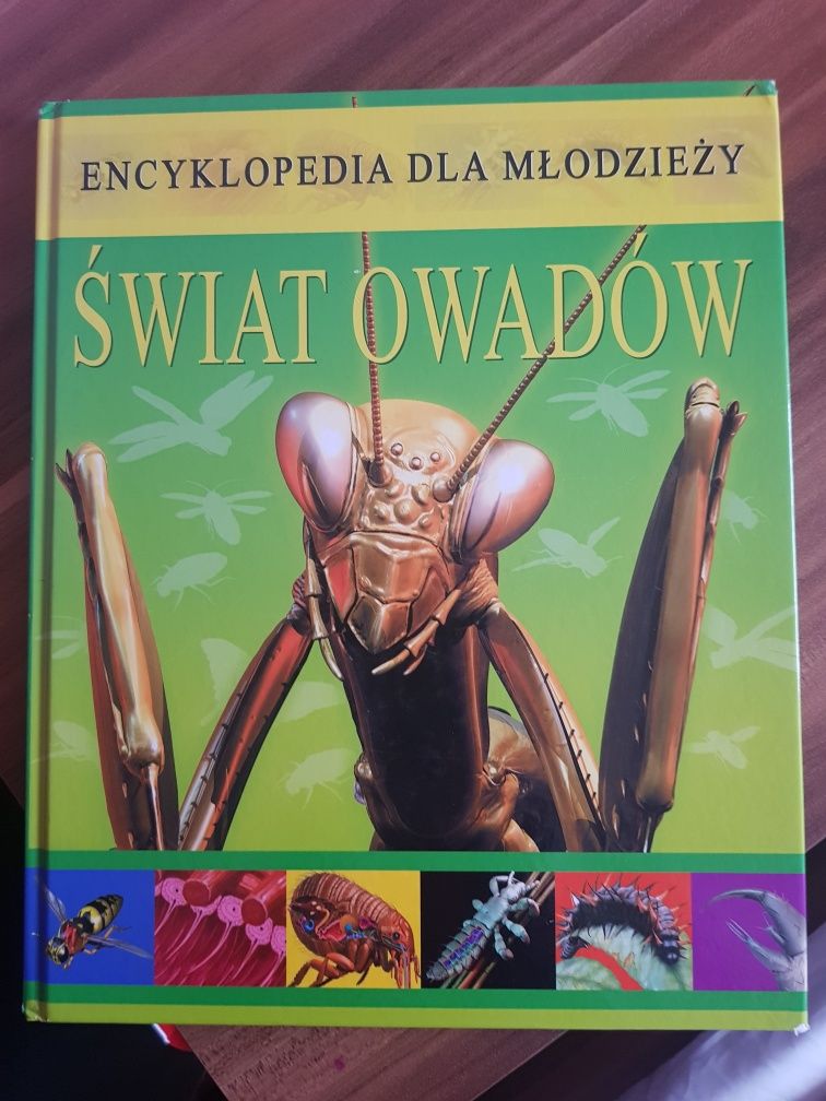 Świat owadów Encyklopedia dla młodzieży wyd. IBIS