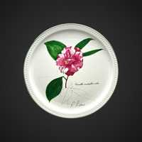 Villeroy & Boch talerz Camellia canduiflora Kamelia botanica B41518