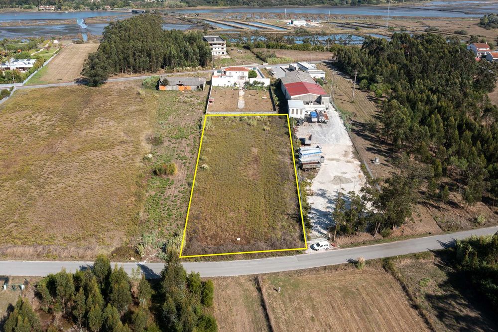 Terreno Rústico 4.820 m² em Vagos – Excelente Localização e Potencial!