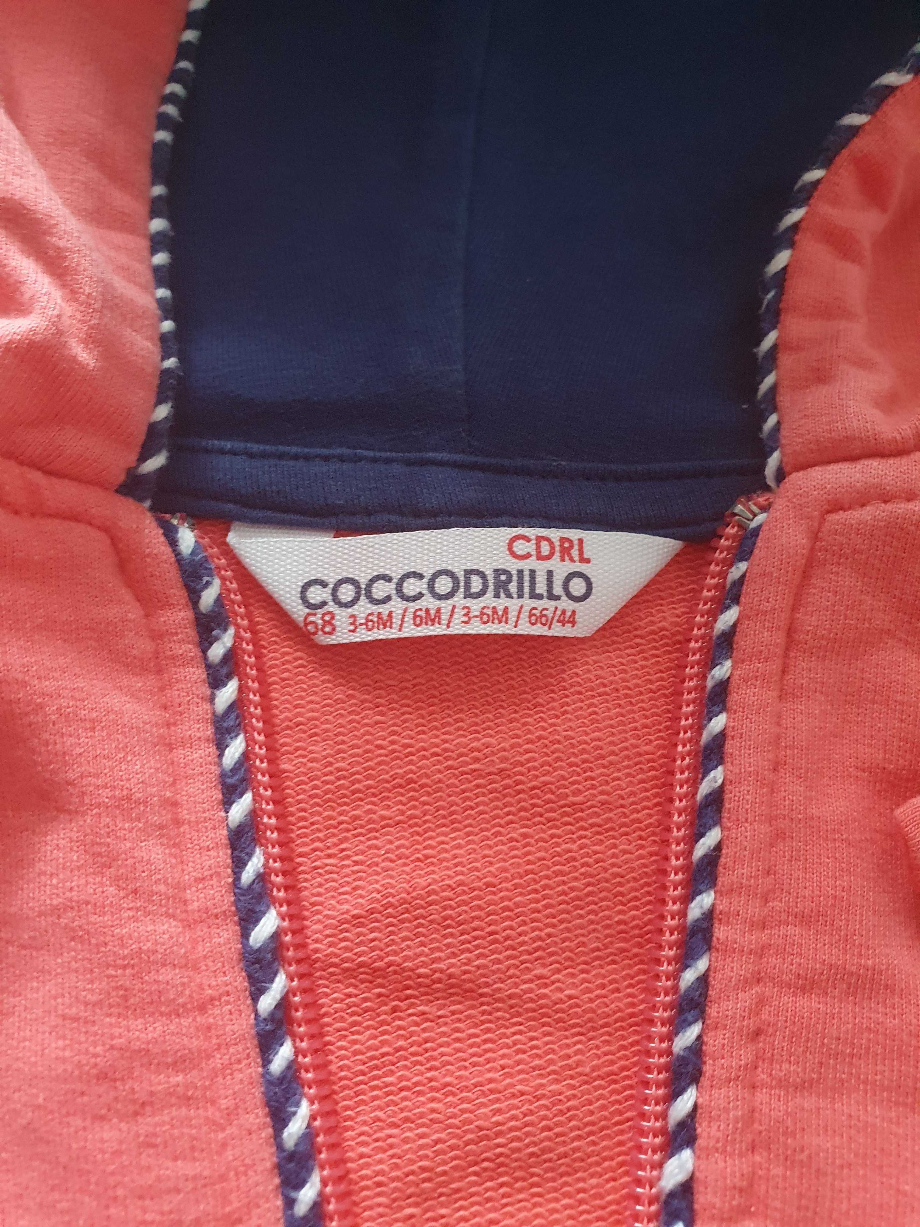 bluza z coccodrillo