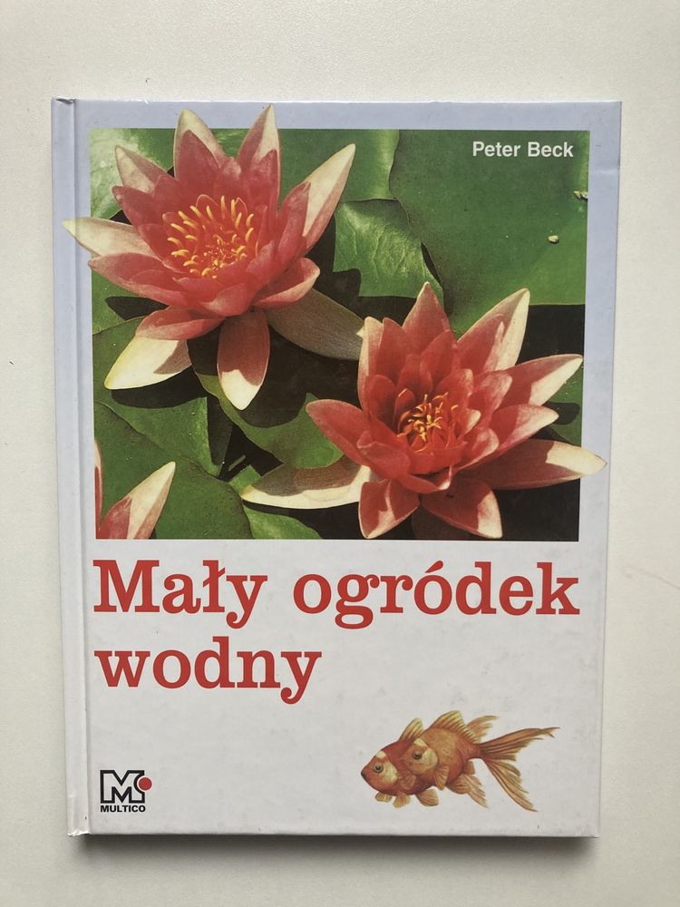 Mały ogródek wodny