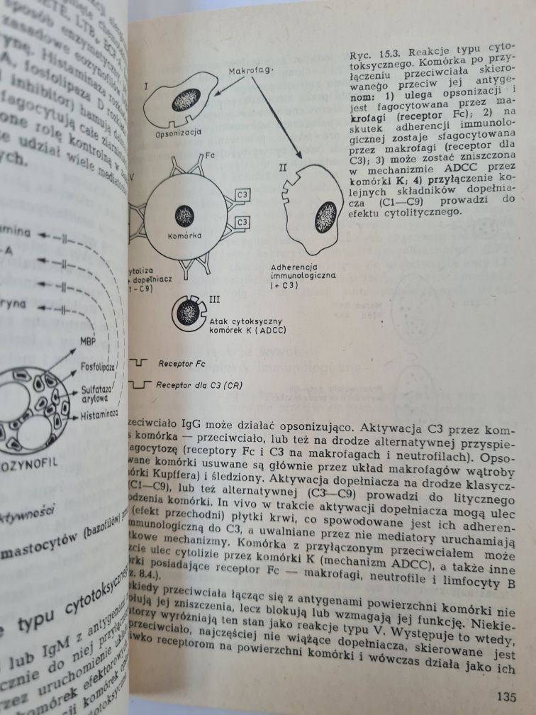 Podstawy immunologii - Włodzimierz Ptak