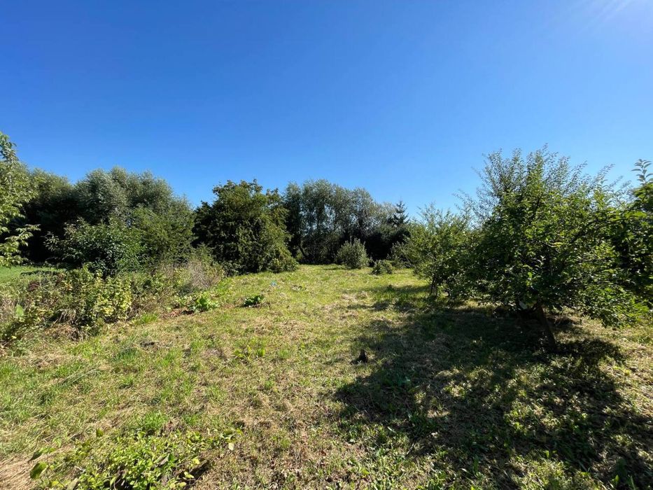 Продаж великого будинку у передмісті Тернополя