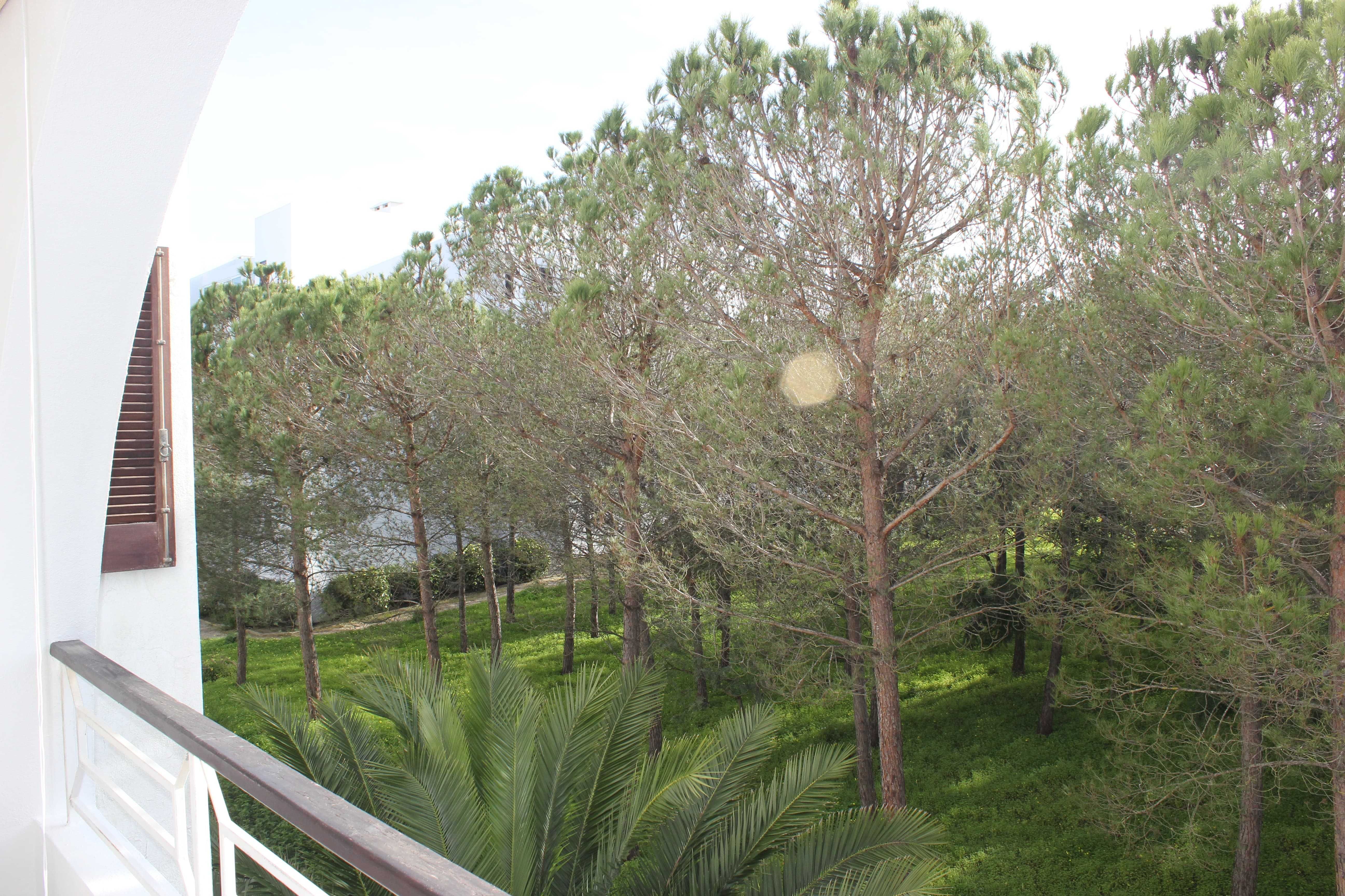Apartamento T1, em Albufeira (Salgados) DISPONÍVEL de 2 a 9 Agosto