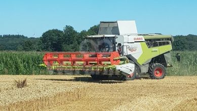 Usługi kombajnem.Koszenie i zbiór zbóż. Kombajnowanie