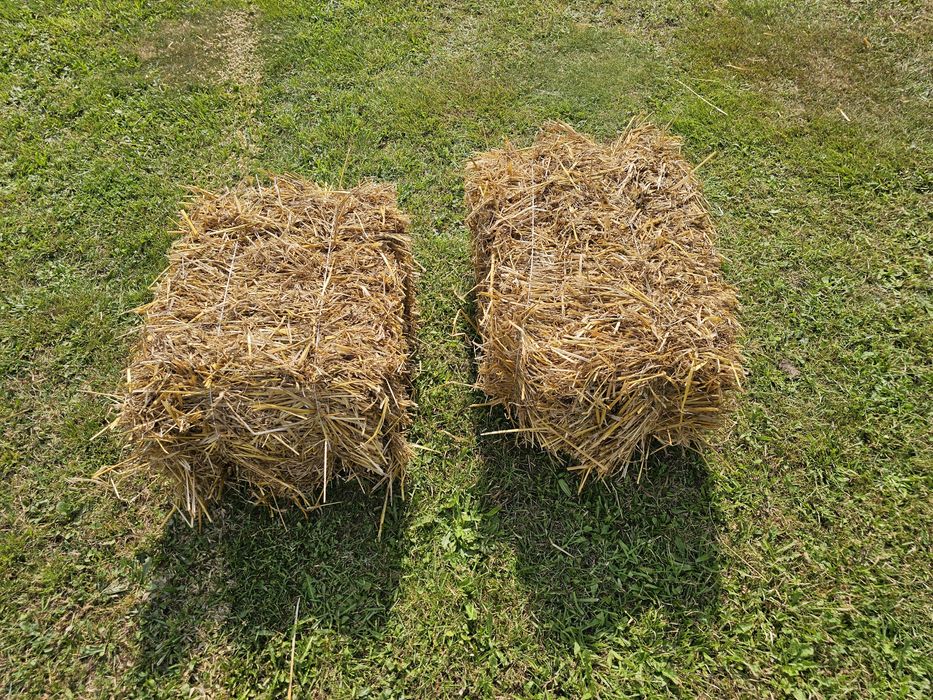 Słoma. Kostki słomy owies.