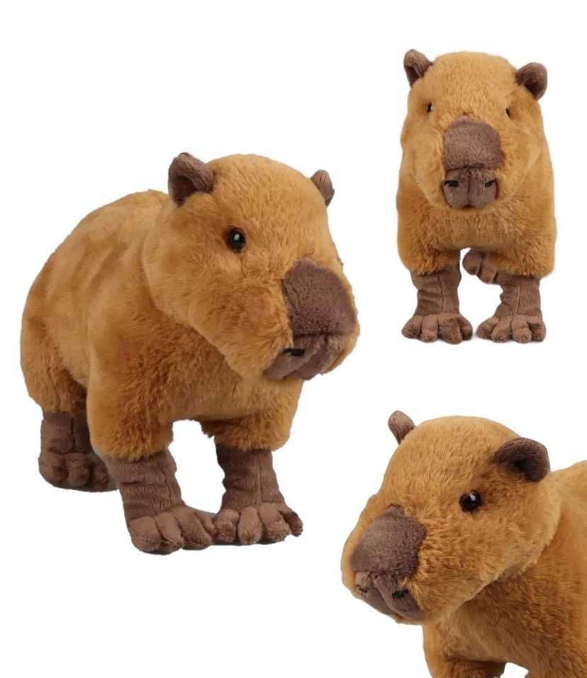 pluszak kapibara capybara antek zabawka maskotka 30CM