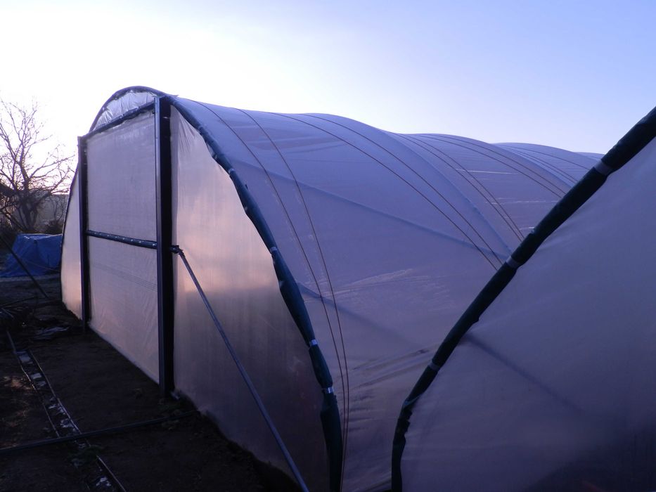 Haygrove wytrzymałe tunele foliowe