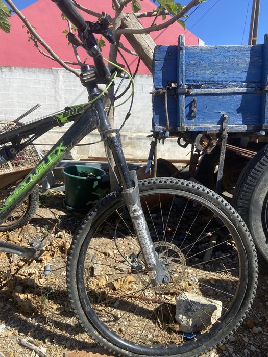 Bicicleta pro flex