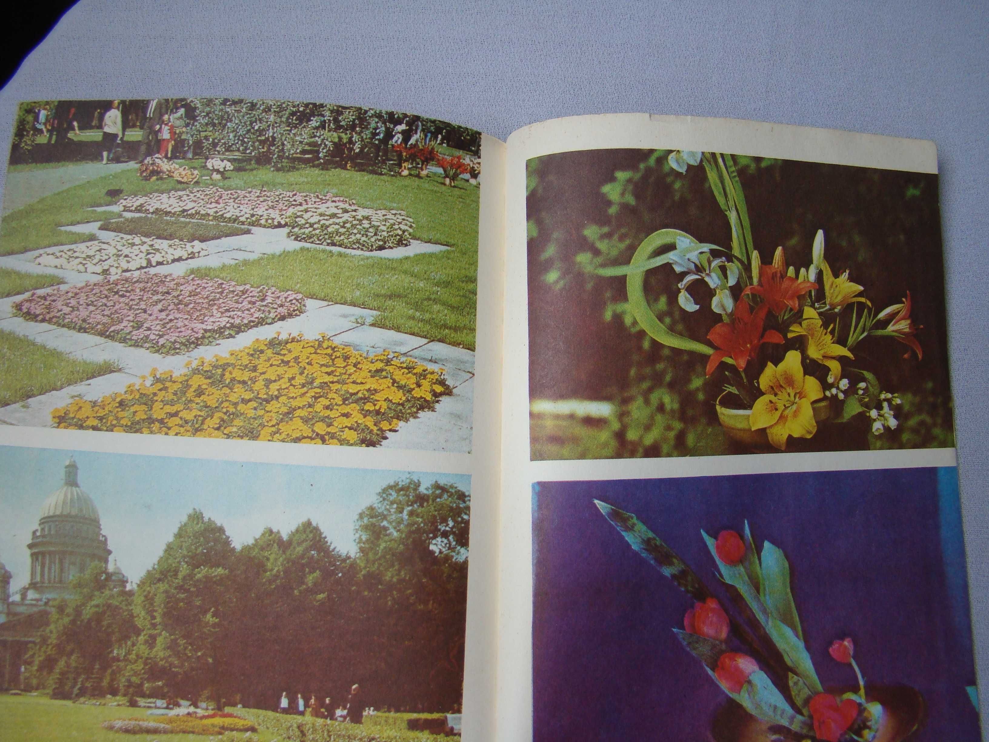 Книга "Как вырастить цветы "