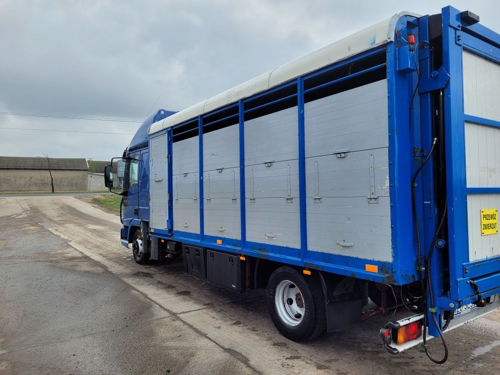 Iveco eurocargo 75e18 do przewozu zwierząt