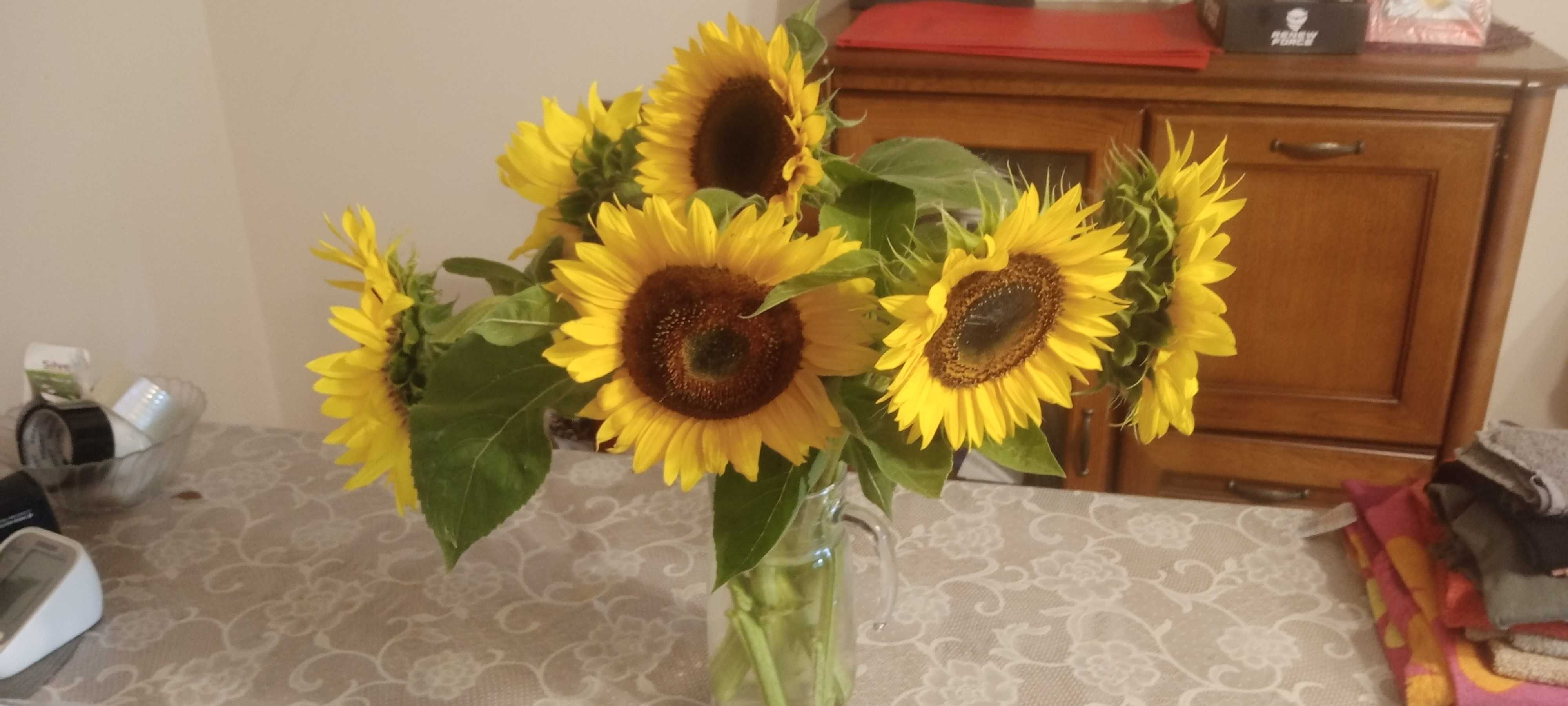 Słonecznik ozdobny na kwiaty ziarno   55zł/kg