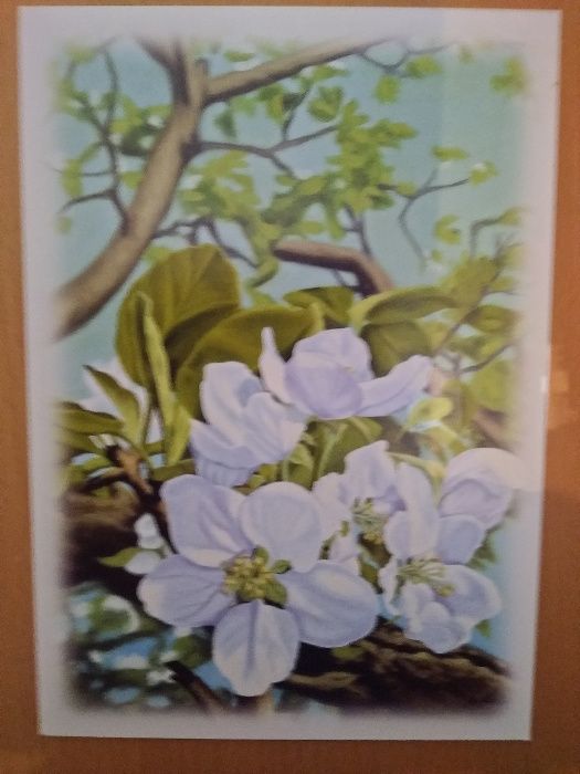 Pocztówki-kartki okolicznościowe, 4 szt zestaw