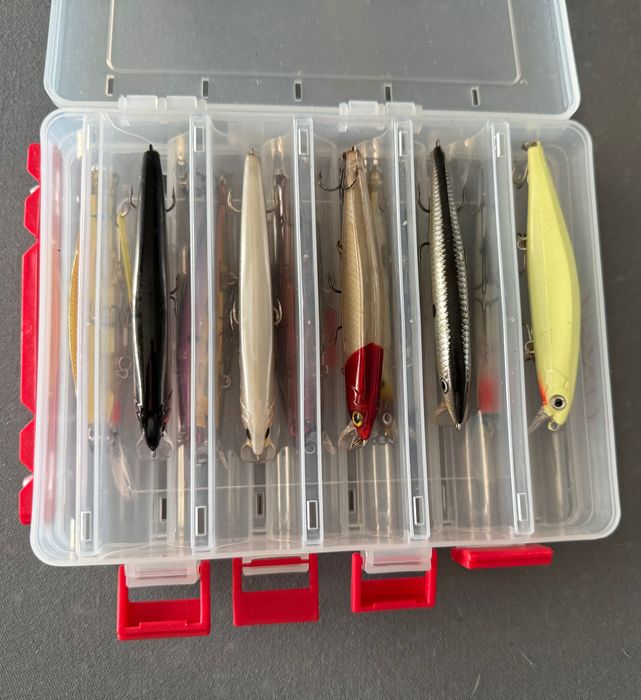 Lote amostras rigidas