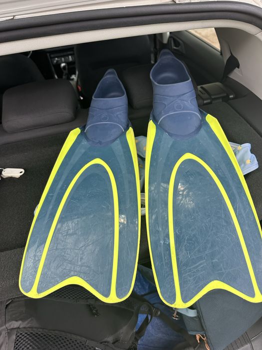 Barbatanas 42-43 e 33-34