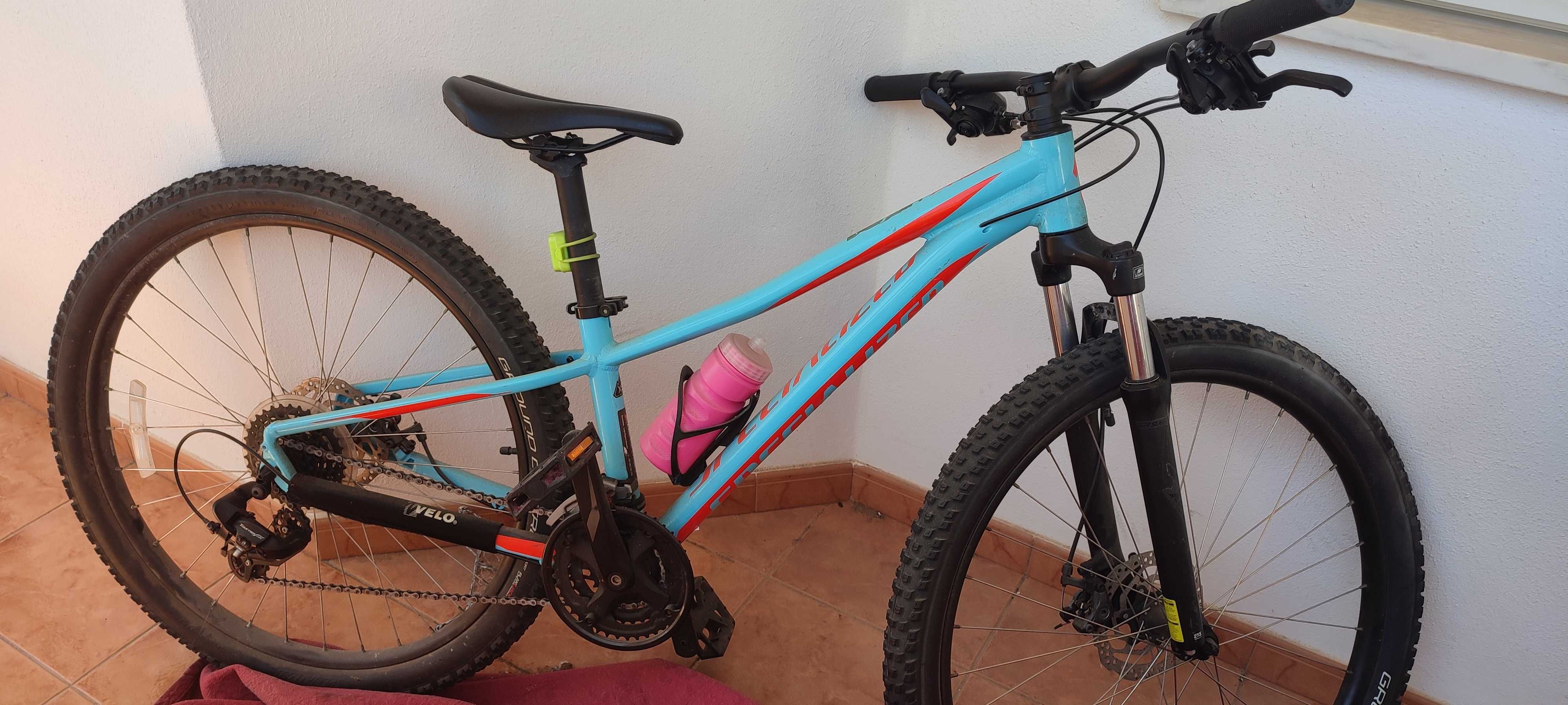 Bicicleta specialized