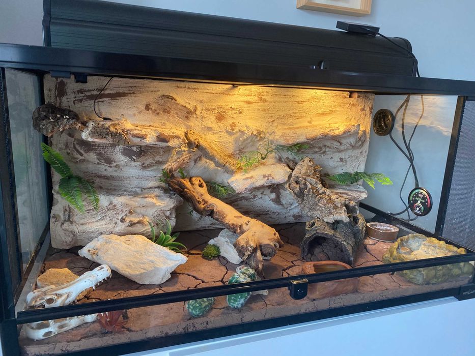Terrarium dla gekona Repti Zoo z wyposażeniem