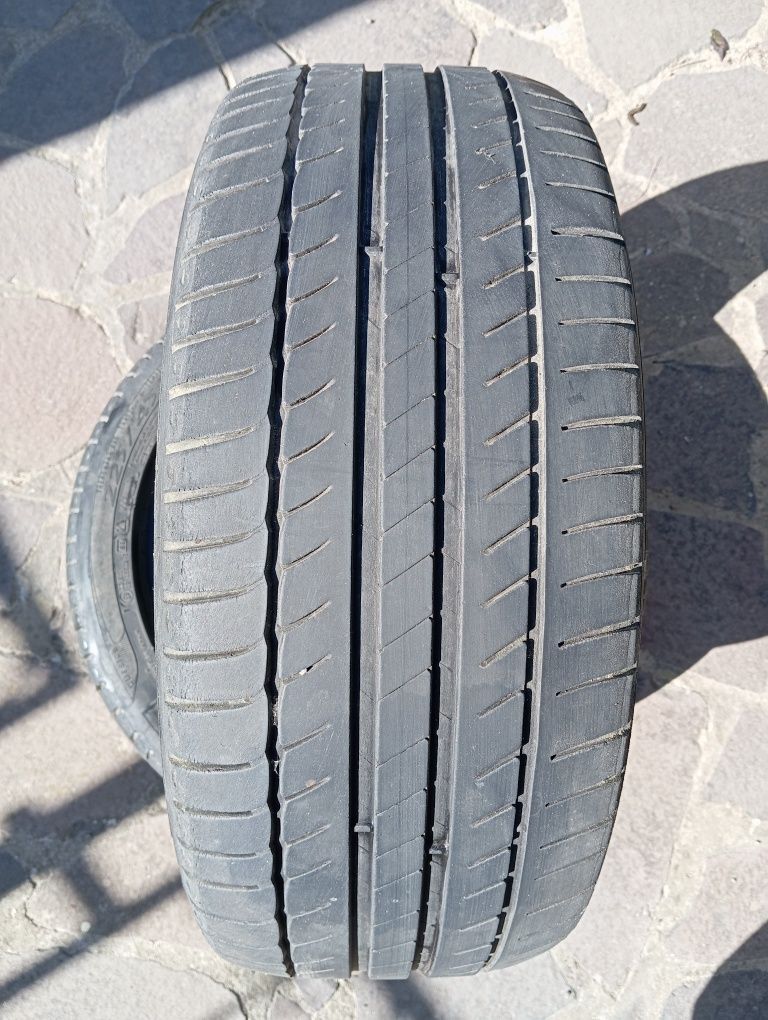 Продам автошины Michelin 225/45/17 ( 2шт.)