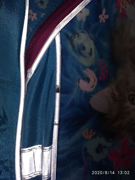 Рюкзак школьный KITE б/у состояние хорошее.