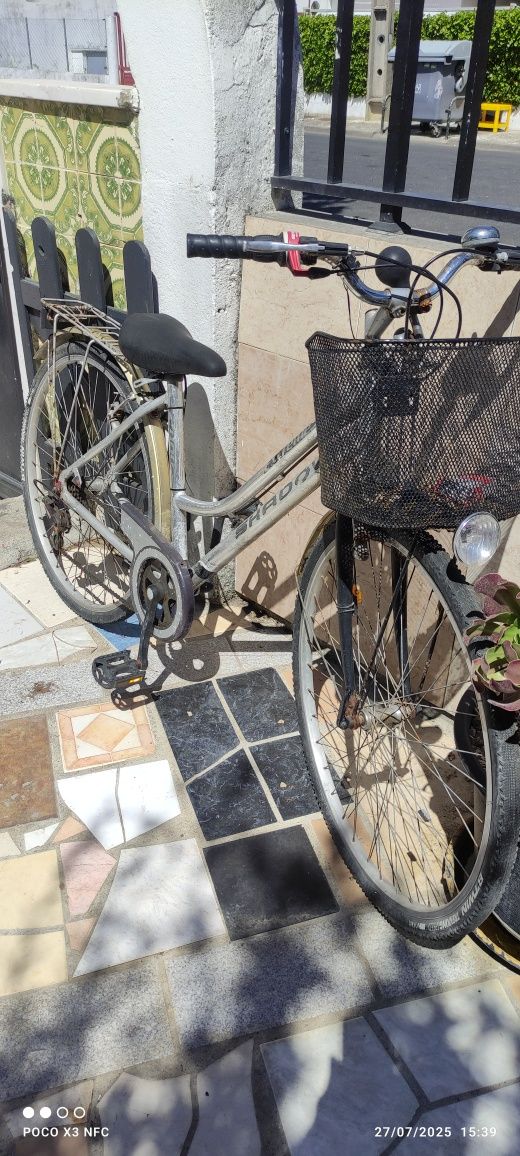 Bicicleta Antiga