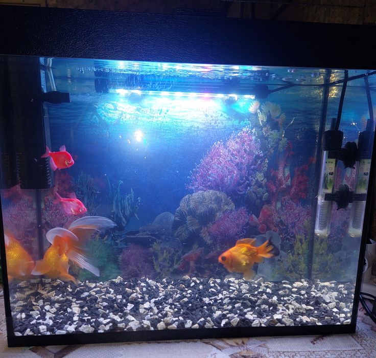 Продам Аквариум с крышкой. Самовывоз.