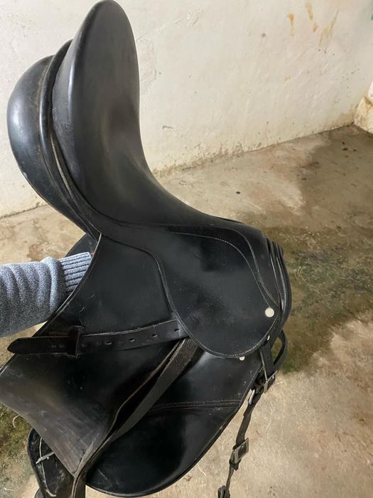 Selim ensino MARJOMAN Regent DR