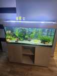 Sprzedam Akwarium 240l