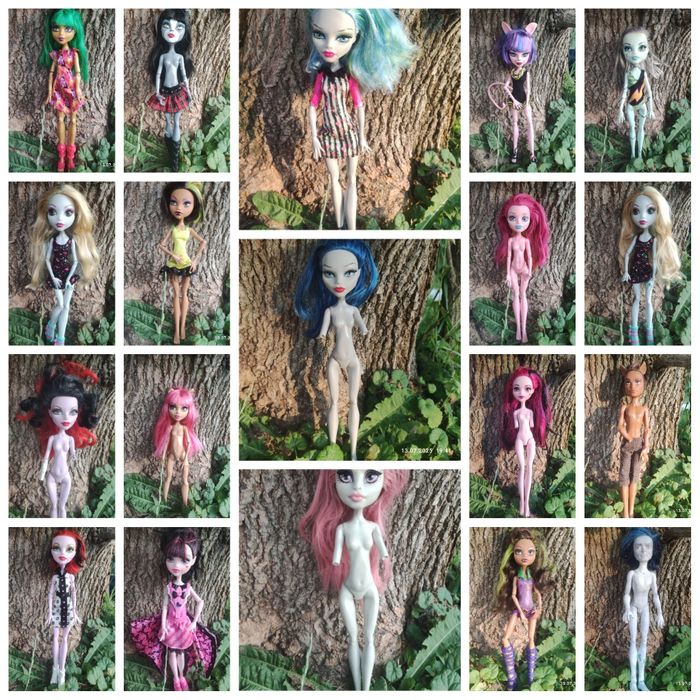 monster high, bratz, sylvanian
