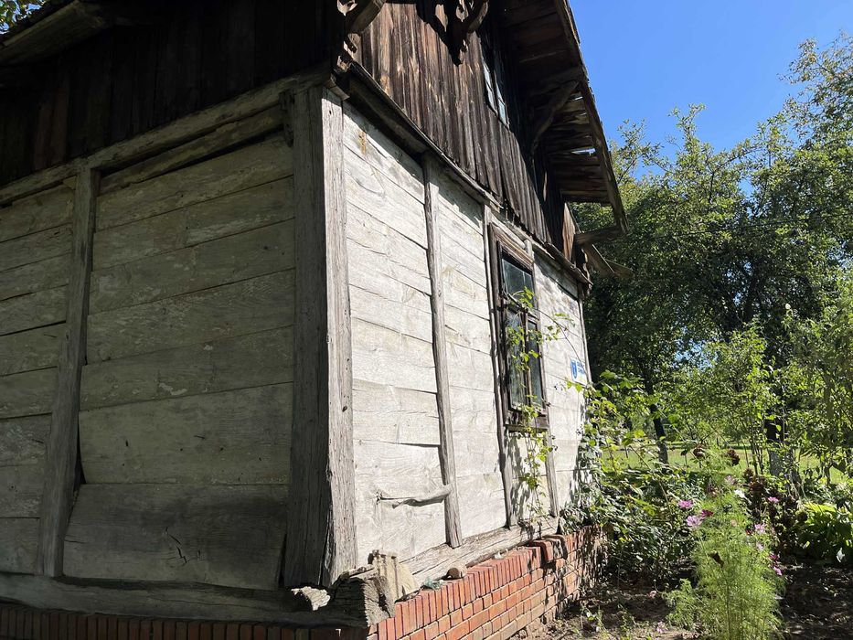 oddam za rozbiórkę drzewo i dachówkę