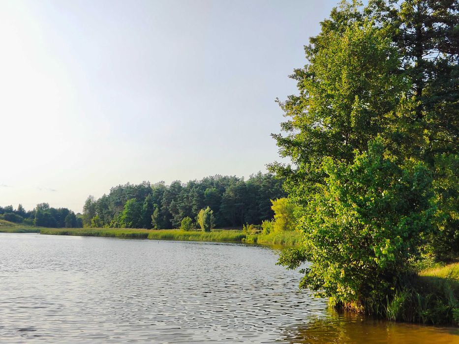 Місце мрії! 15 соток під забудову прямо в лісі, біля озера.