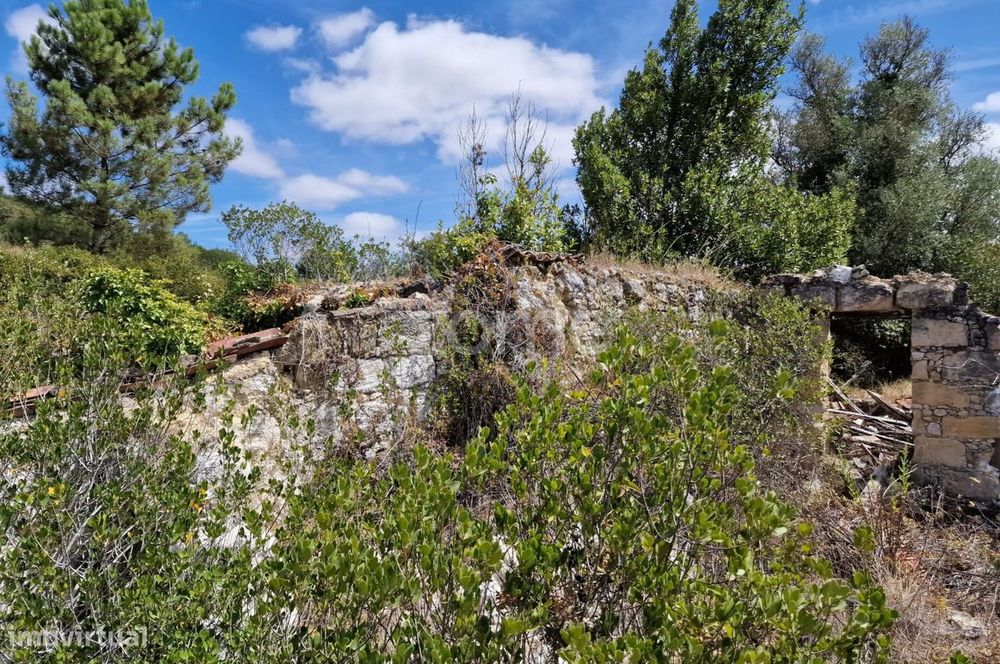 Terreno Rústico 11.878m2 vale da Talha Carvalhal Santarém
