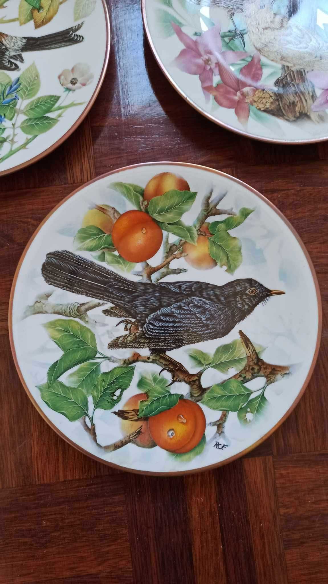 Coleção de 11 pratos "As nossas aves canoras"