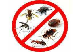 Засіб від комах (клопи, таргани, блохи, оси, міль, мурахи, павуки)
