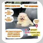 Vip!vip!НейМоВірний! Більше фото та відео в instagram  Найгарніший !