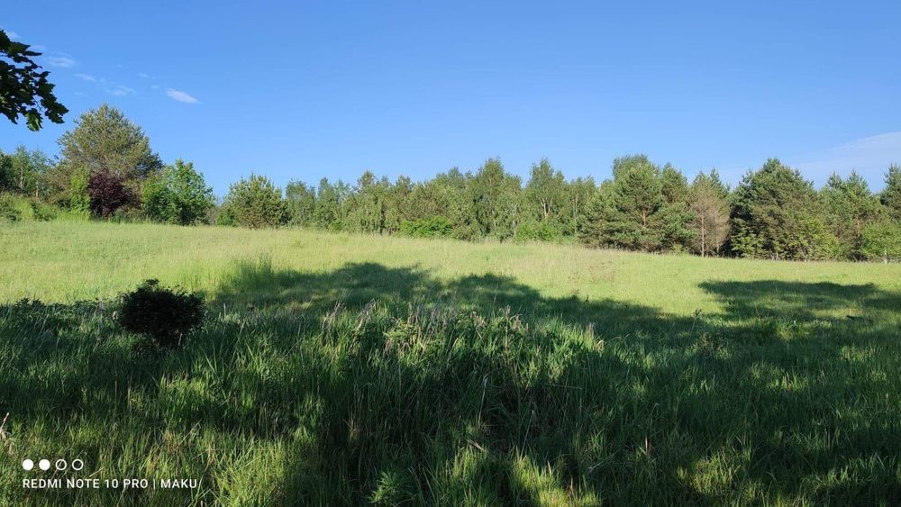 Kluczewo,działki rolne 6,14 ha ze stawem